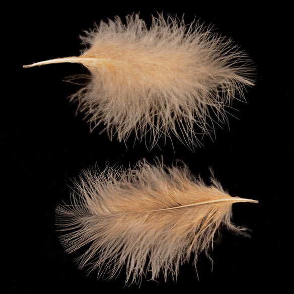 Feather marabou