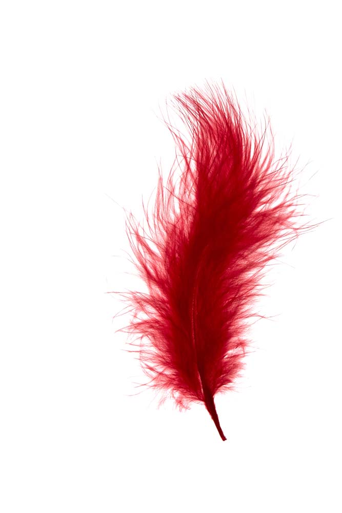 Feather marabou