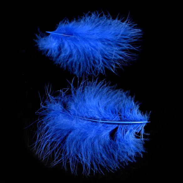 Feather marabou