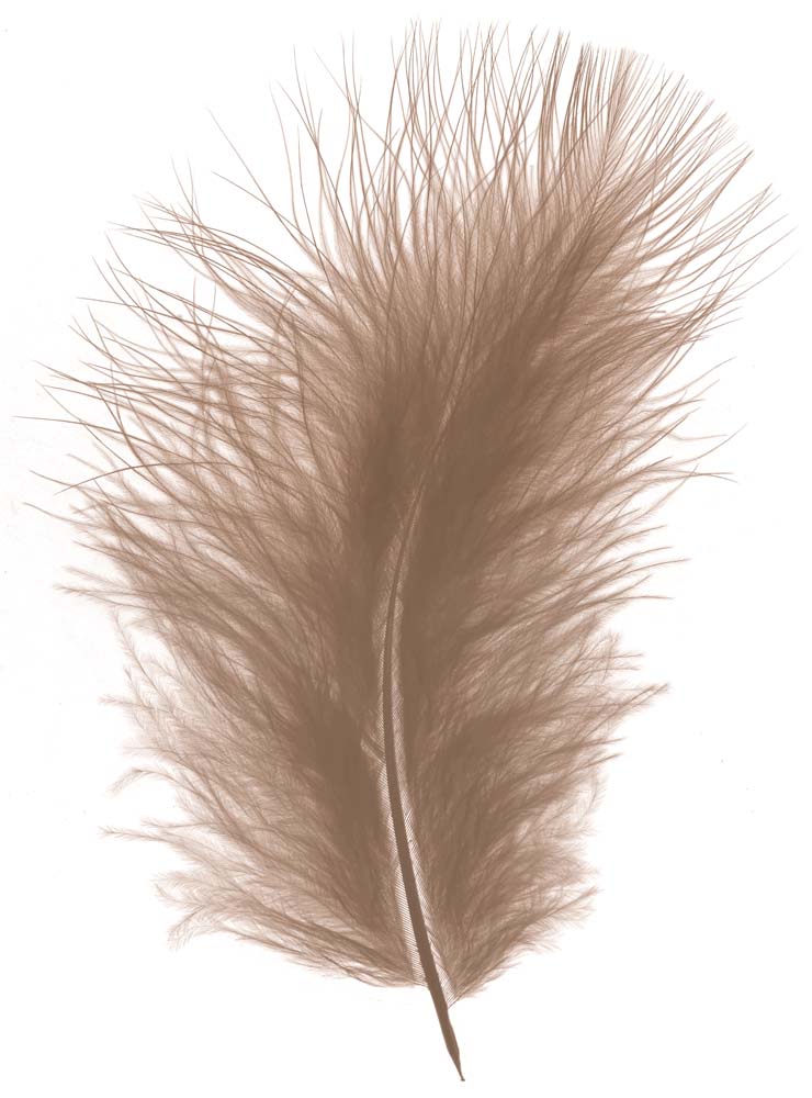 Feather marabou