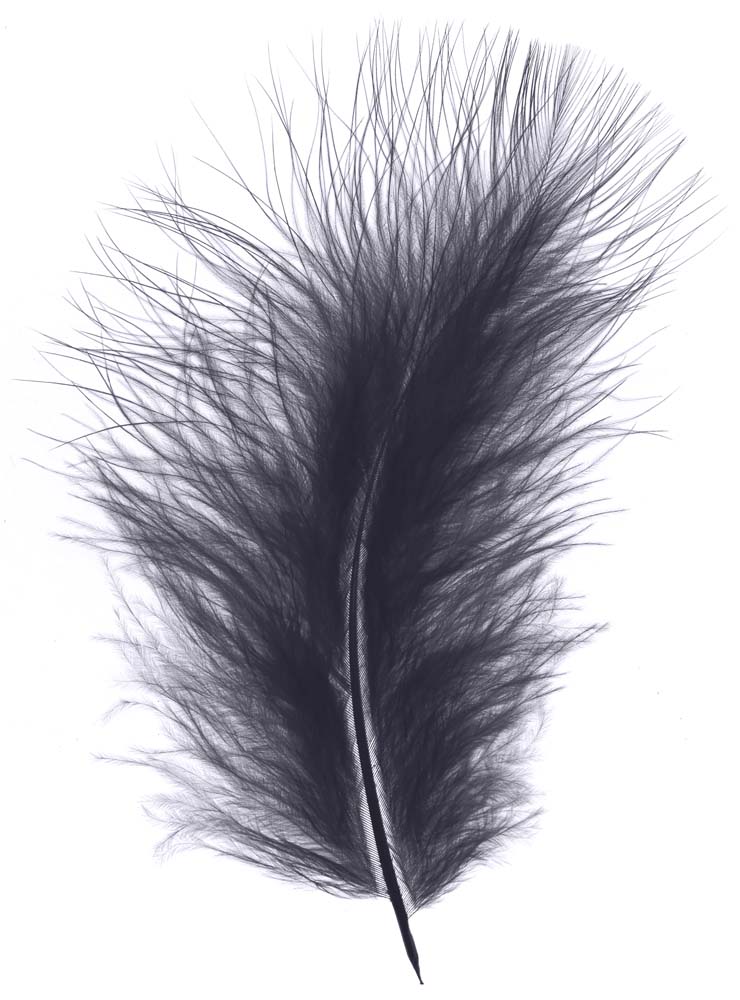 Feather marabou