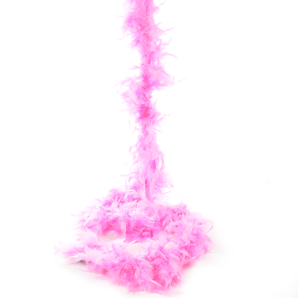 Boa