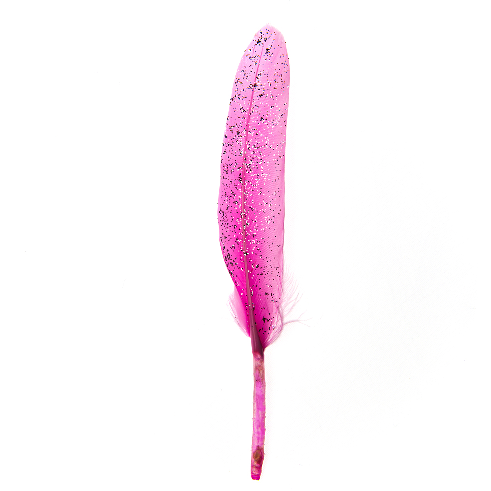 Feather flamingo