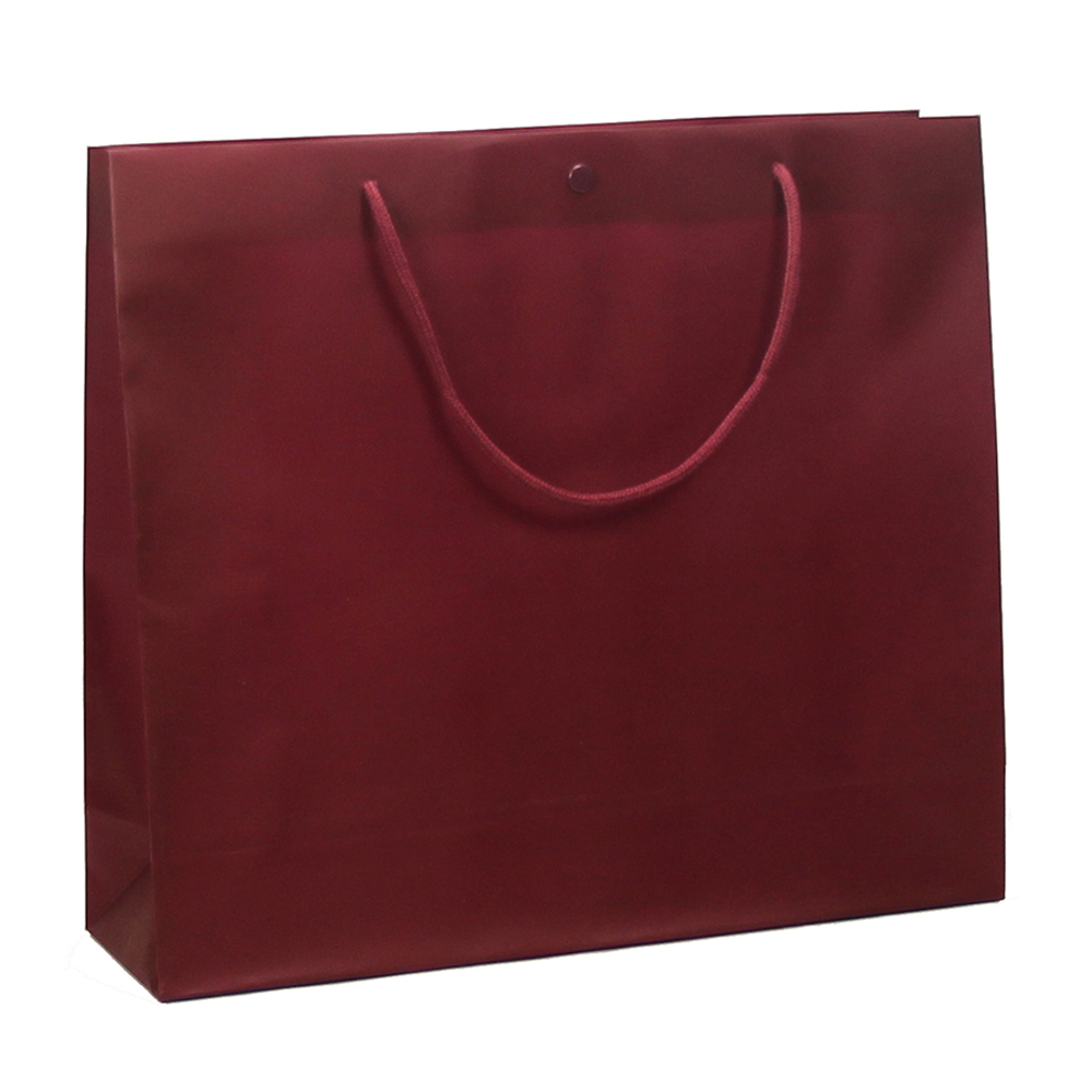 Bag chiaro w.button