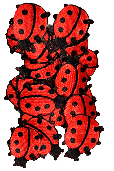 Strew ladybug