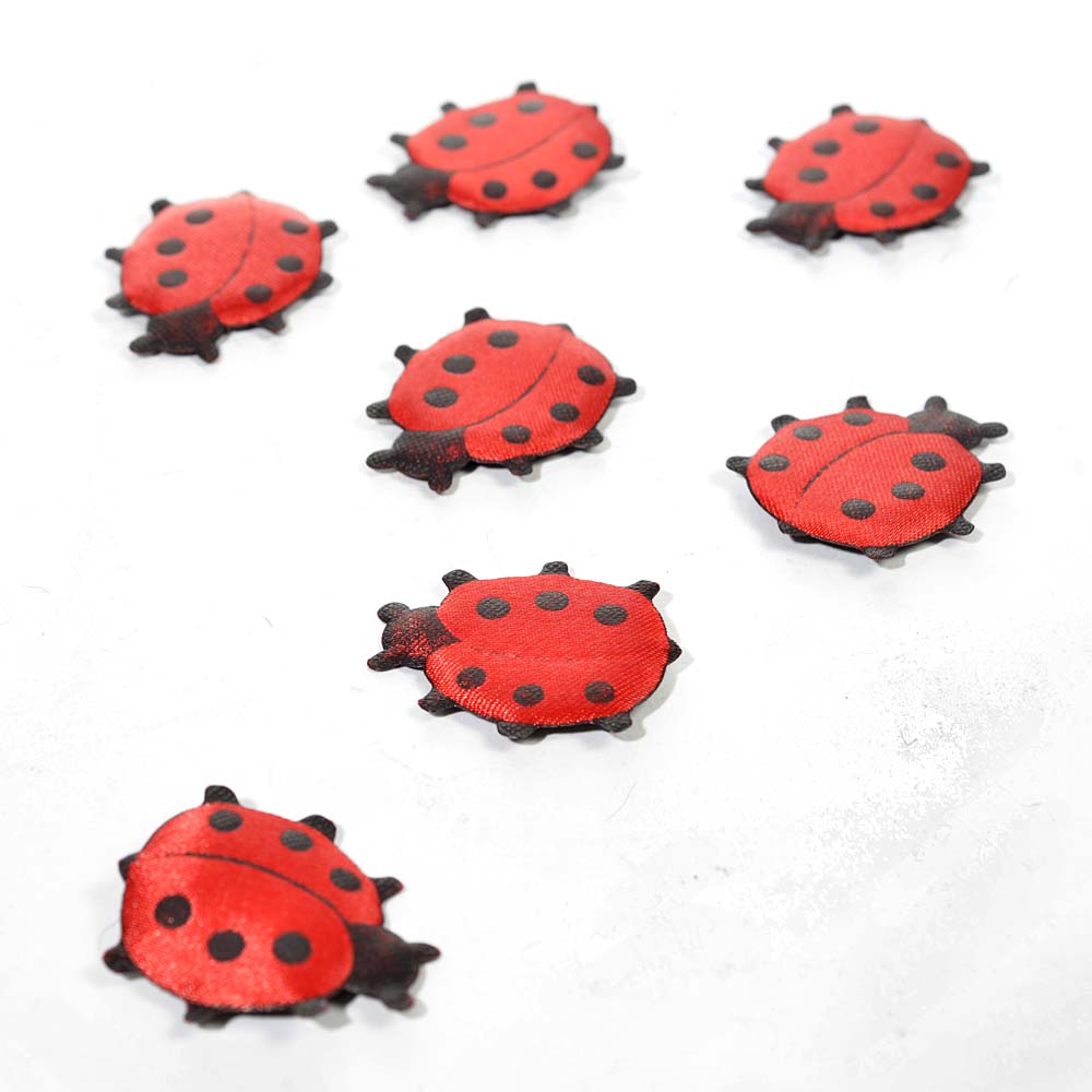 Strew ladybug