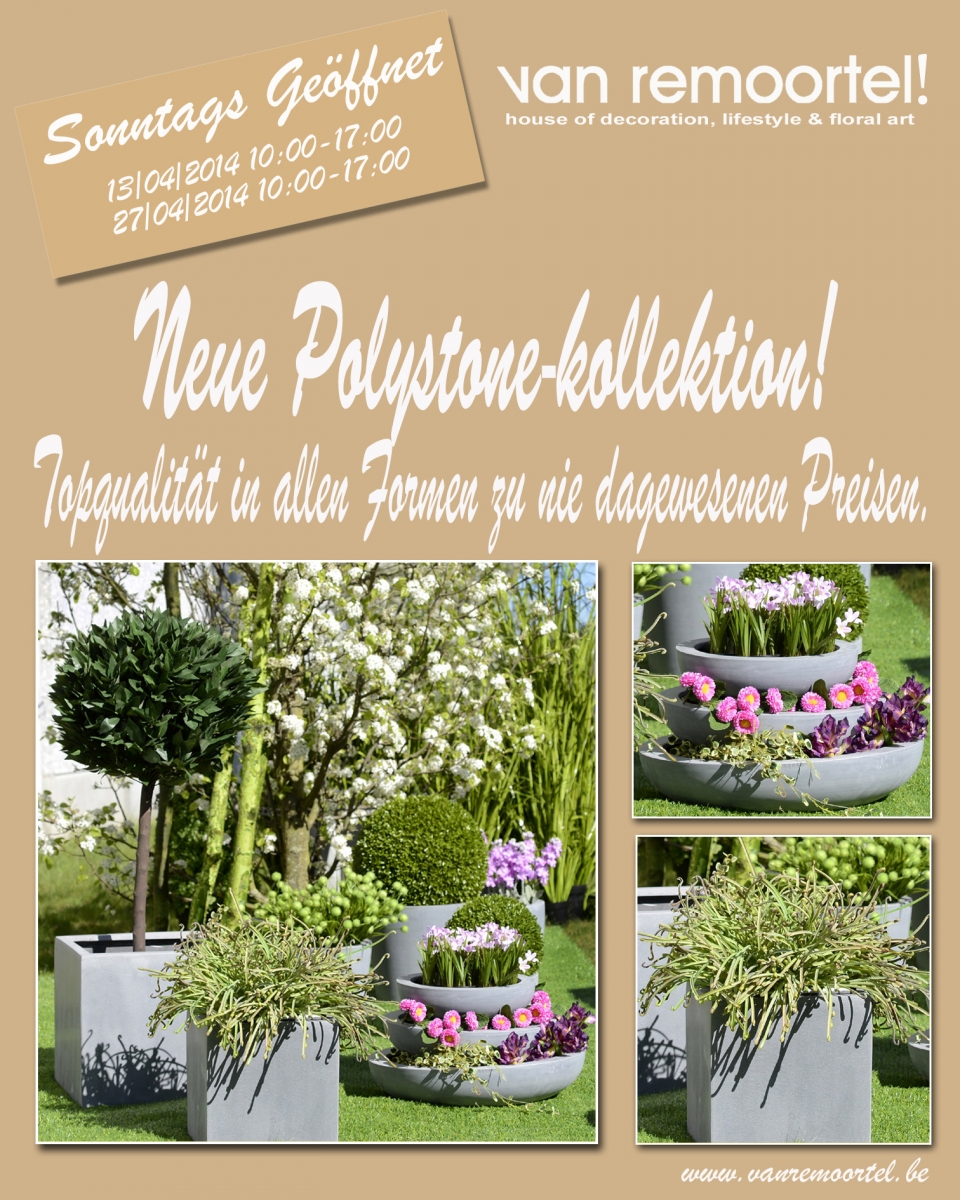 flyer poly